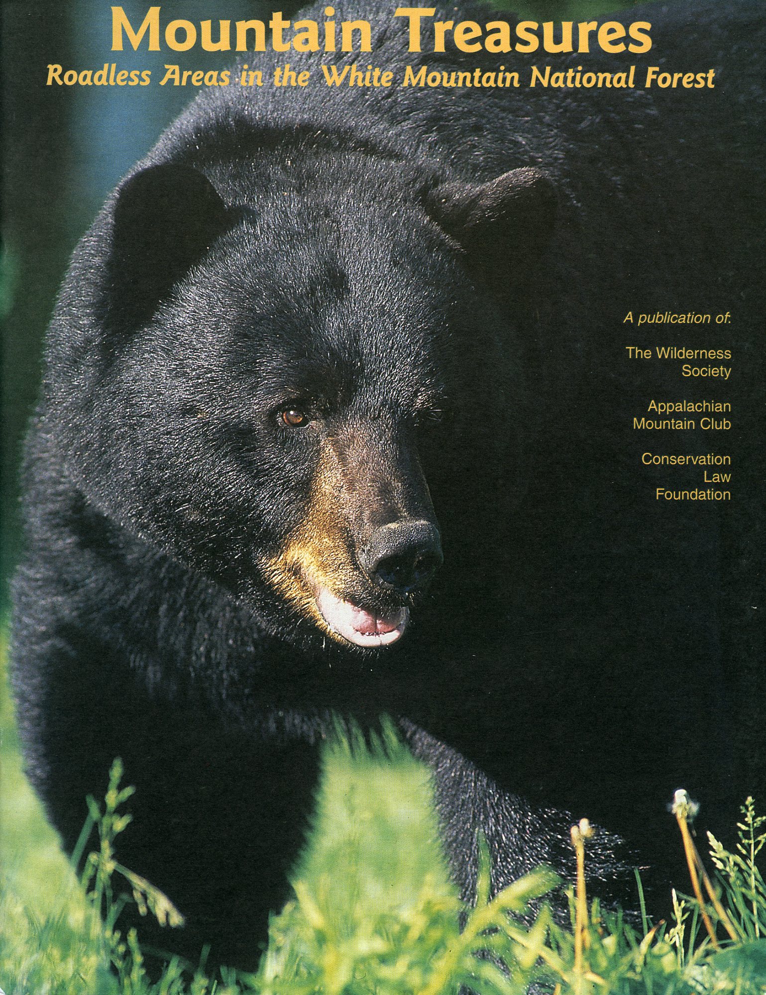 1999 Mountain Treasures Report Cc5000 C 7 005