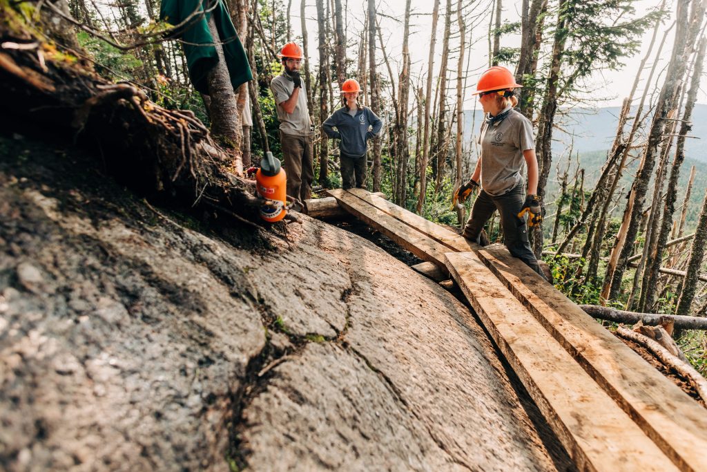 Trail crew in orange helmets working to enhance trail access and safety,